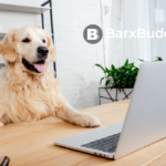 A dog sitting in front of a computer Description automatically generated